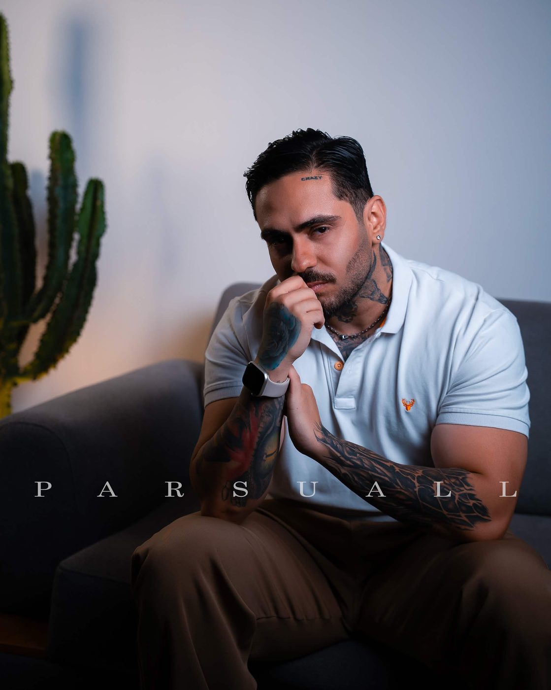 Portrait on a sofa